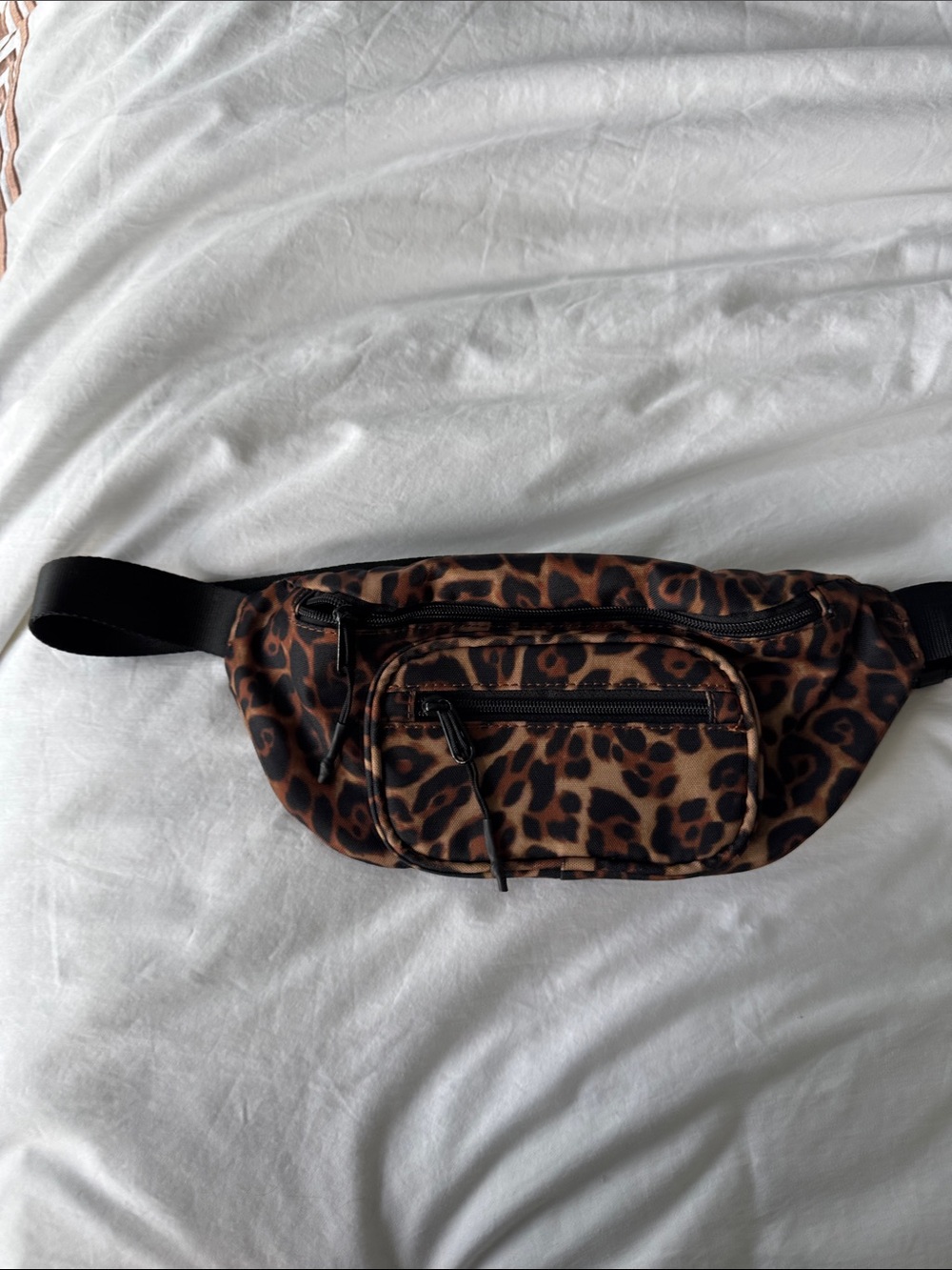 Aritzia bag
